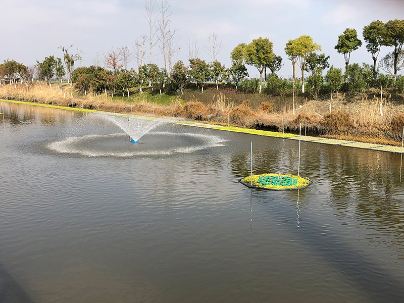 提升河道水质加快河道疏浚……这个镇多措并举优化水环境建设杏彩体育和管理